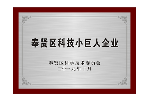 
上海市奉賢區(qū)科技小巨人企業(yè)
