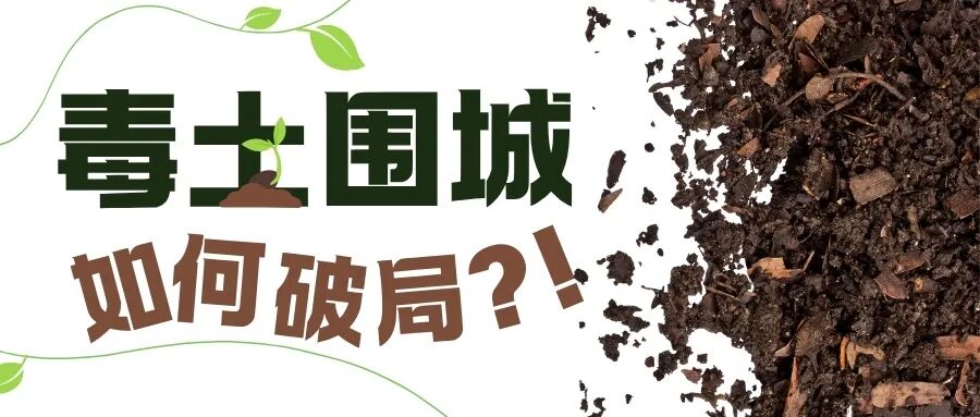 1762826346953934.jpg 640.jpg